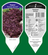 BYLINY-ŚWIERK taimeaed mitmeaastased taimed kõrrelised sõnajalad Poola 20